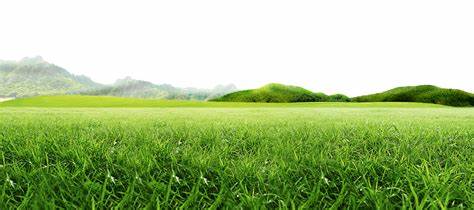 Arable Land